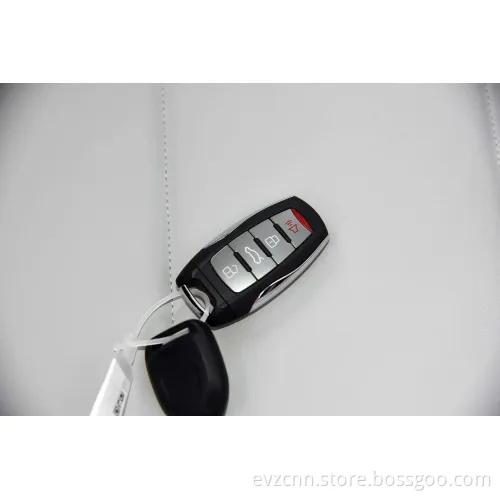 Gwm haval jolion 5 sedili per auto benzina per prestazioni ad alte prestazioni SUV Family Car con specchio di retrovisore elettrico